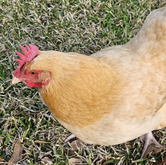 Meet your Posher, Erin - Picture 1 of 1